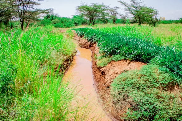 Community agroecology or Healing the Land activity