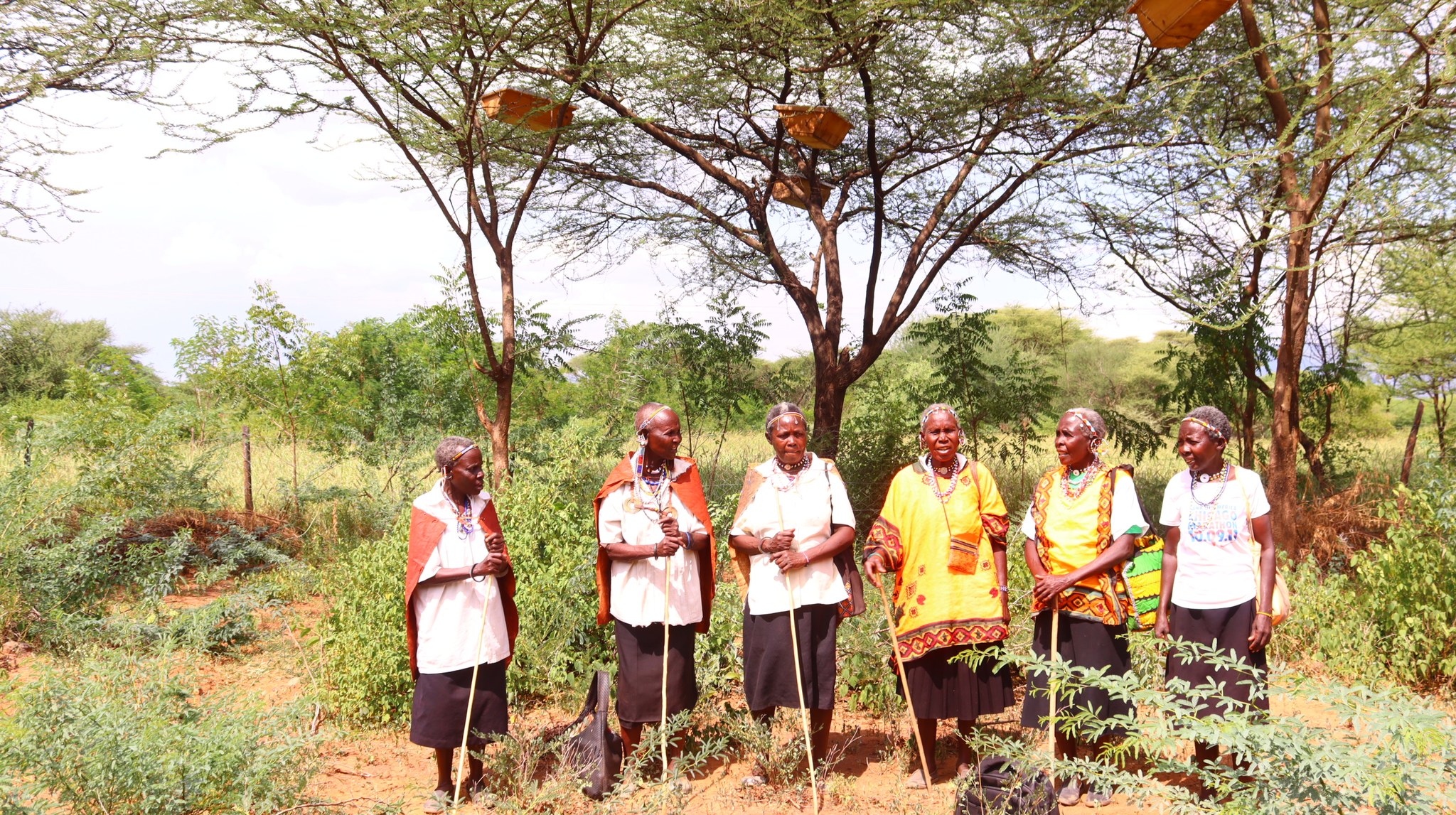 ENDOROIS INDIGENOUS WOMEN EIWEN IN FIELD BEE KEEPING ACTIVITIES1